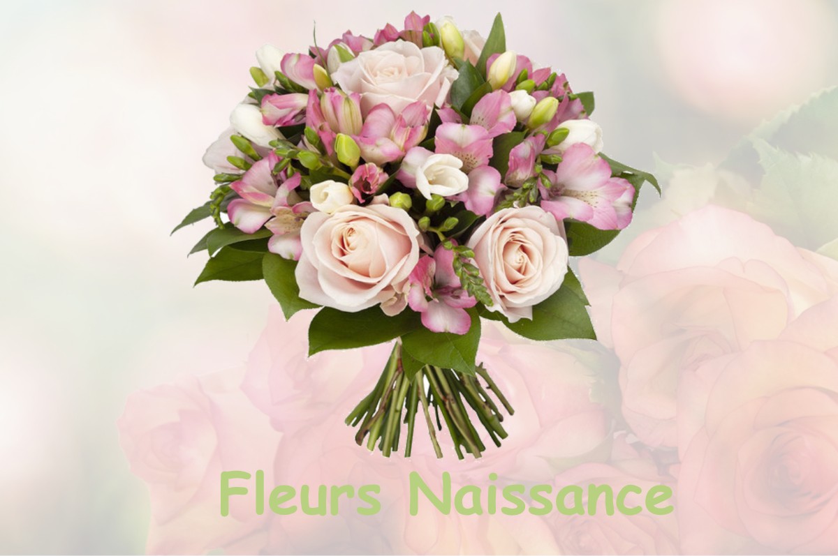 fleurs naissance BEAUGENCY