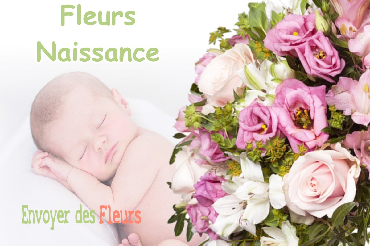 lIVRAISON FLEURS NAISSANCE à BEAUGENCY